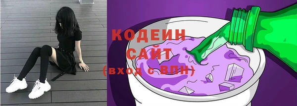 крисы Магас