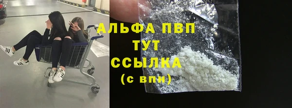 сатива Магадан