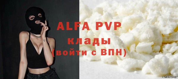 крисы Магас