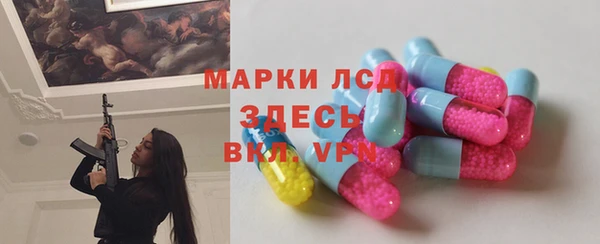 крисы Магас