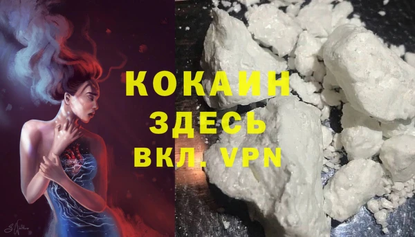 сатива Магадан