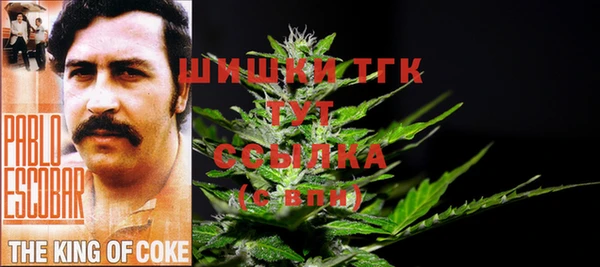 крисы Магас